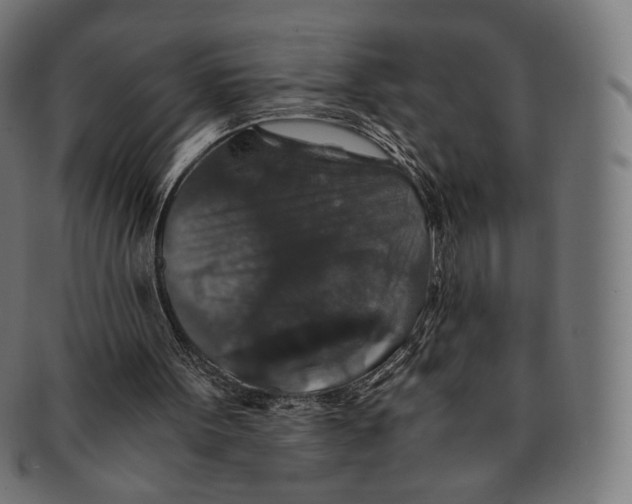 X0000091180099200709061001