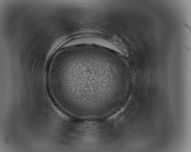 X0000091180101200709061001