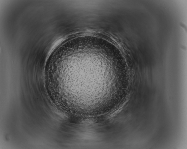X0000091180102200709061001