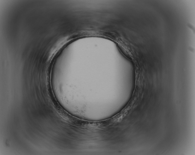 X0000091180103200709061001