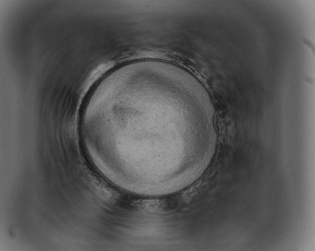 X0000091180104200709061001