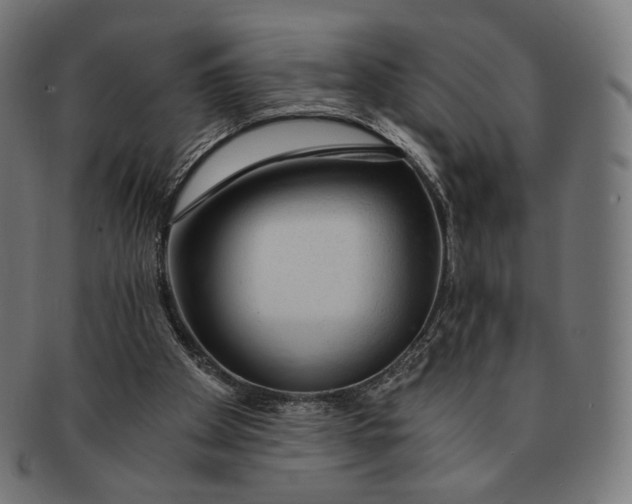 X0000091180105200709061001