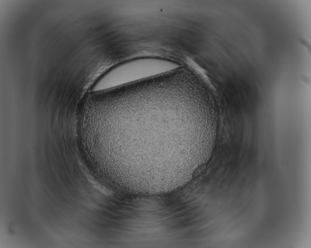 X0000091180106200709061001