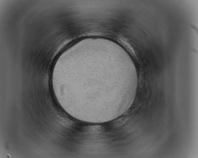 X0000091180108200709061001