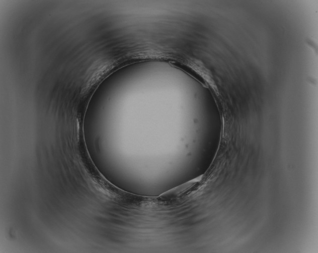 X0000091180109200709061001