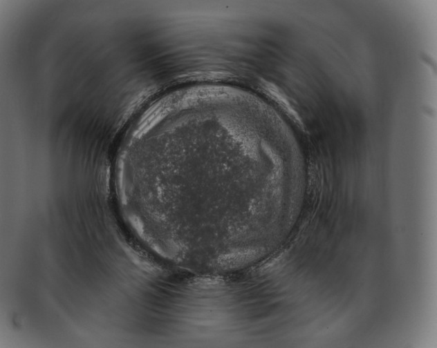 X0000091180110200709061001
