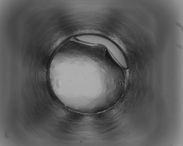 X0000091180111200709061001