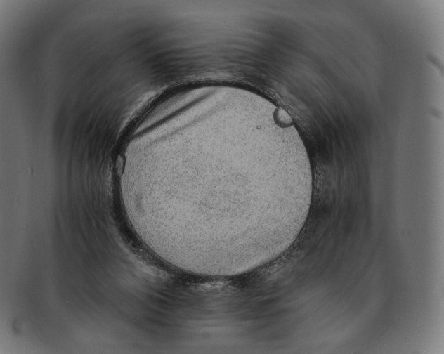 X0000091180112200709061001