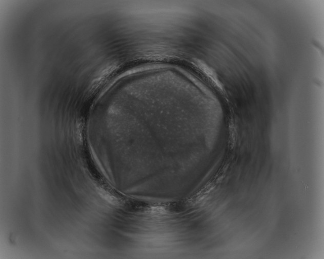 X0000091180114200709061001