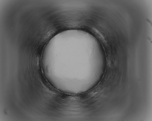 X0000091180115200709061001