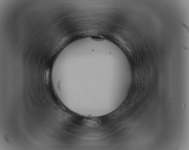 X0000091180118200709061001