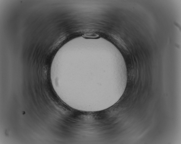 X0000091180120200709061001