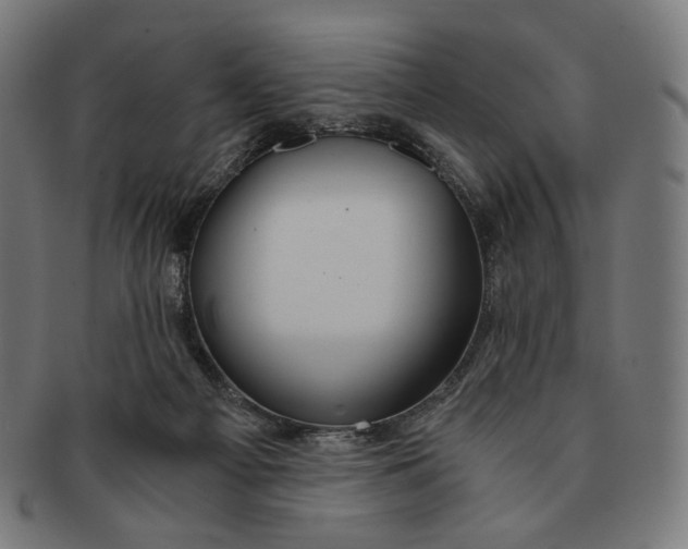 X0000091180121200709061001