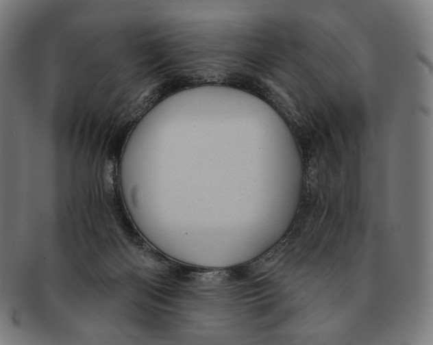 X0000091180122200709061001