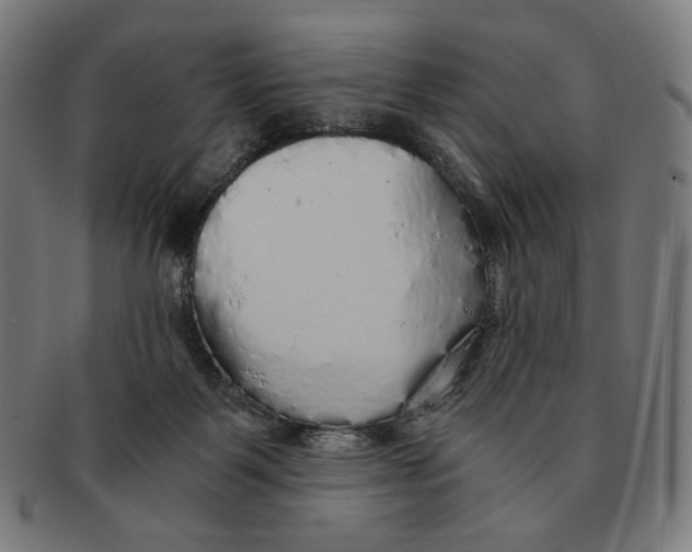 X0000091180123200709061001