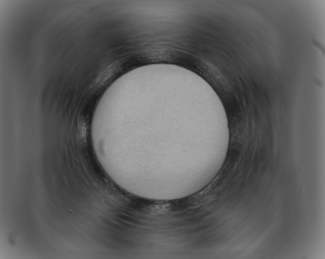 X0000091180124200709061001