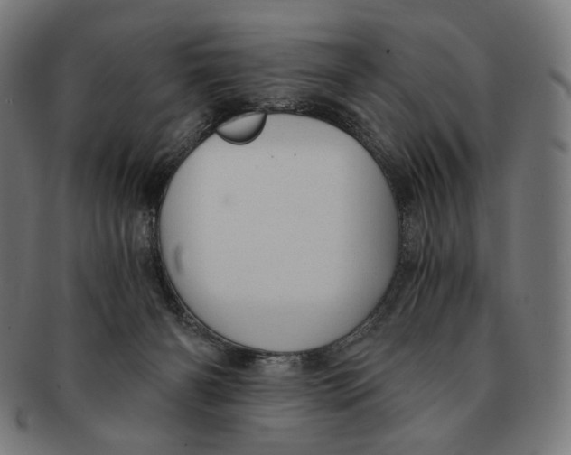 X0000091180126200709061001