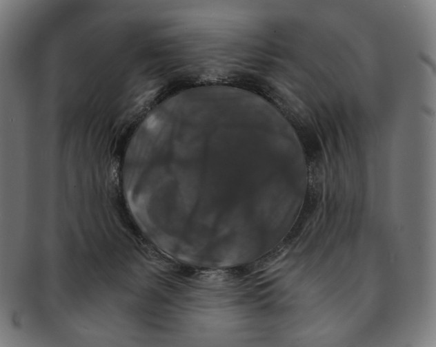 X0000091180127200709061001