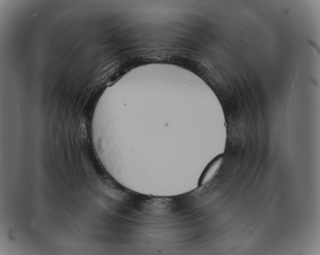 X0000091180128200709061001