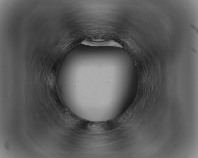 X0000091180129200709061001