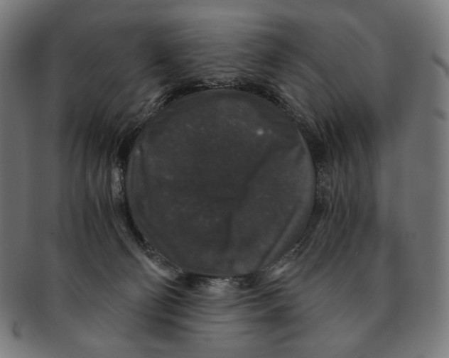 X0000091180130200709061001