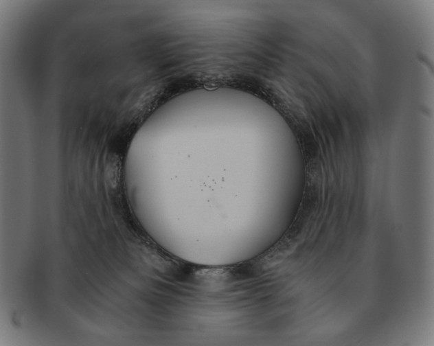 X0000091180133200709061001