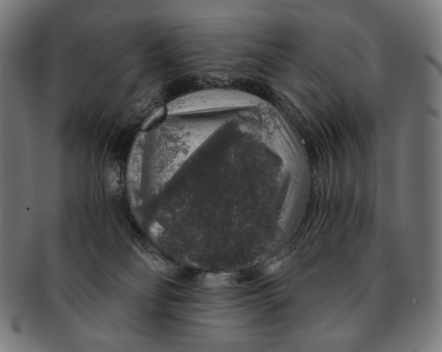 X0000091180134200709061001
