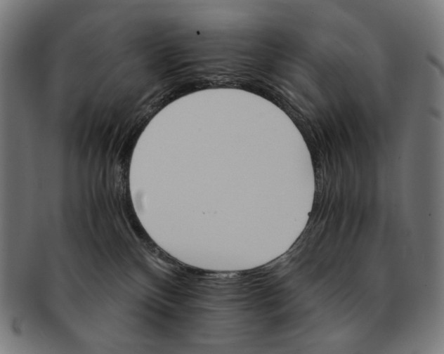 X0000091180136200709061001