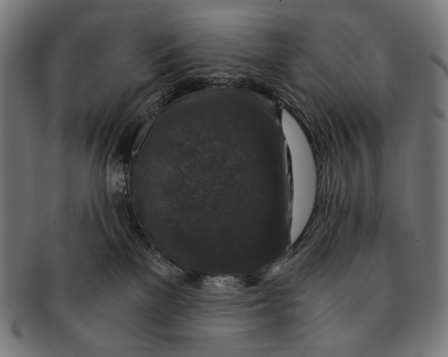 X0000091180137200709061001