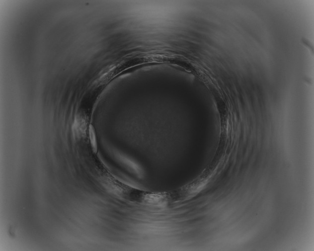 X0000091180139200709061001