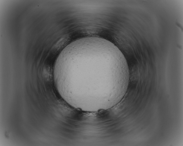 X0000091180140200709061001