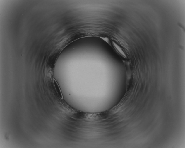 X0000091180141200709061001