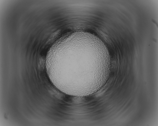 X0000091180142200709061001