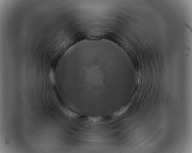 X0000091180143200709061001