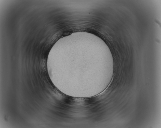 X0000091180144200709061001