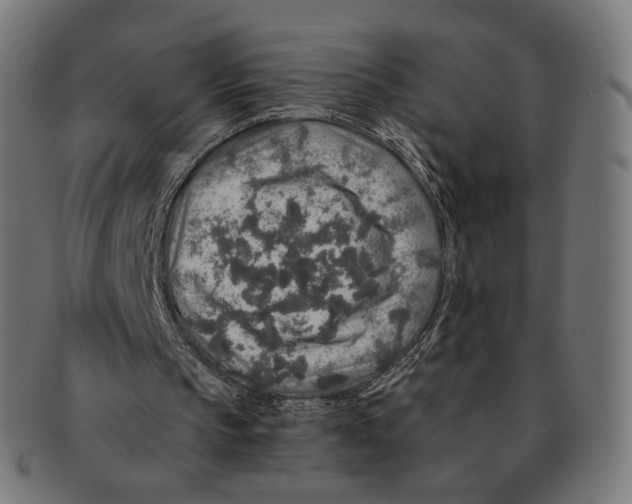 X0000091180145200709061000