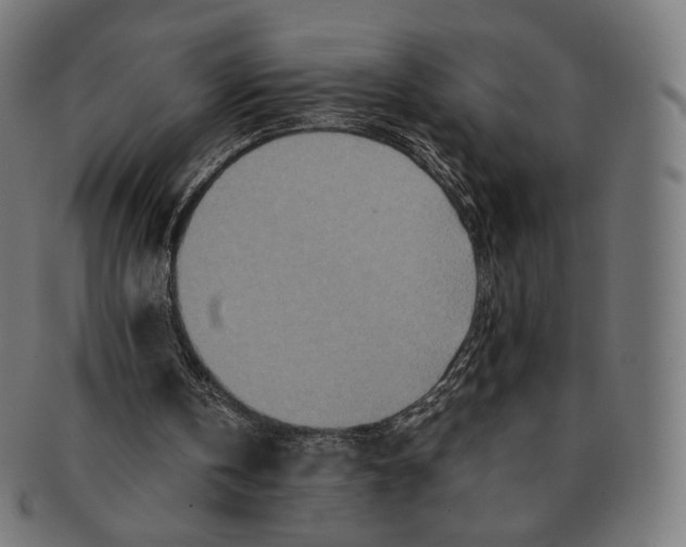 X0000091180146200709061000