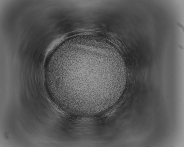 X0000091180149200709061000