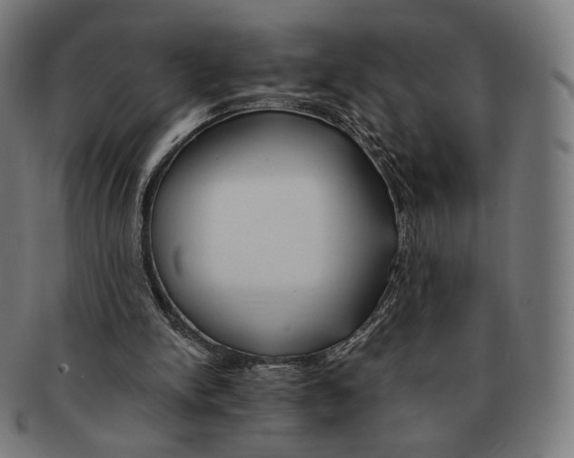 X0000091180150200709061000