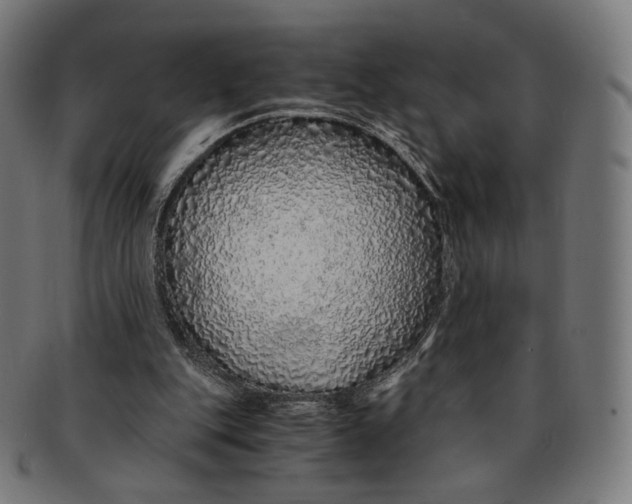 X0000091180151200709061000