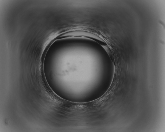 X0000091180152200709061000