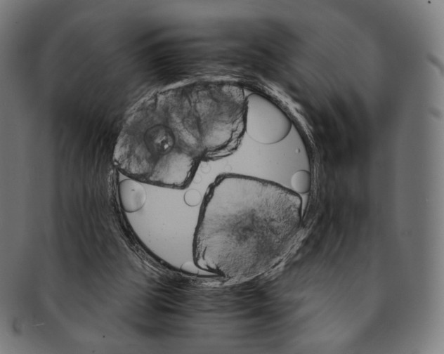 X0000091180153200709061000