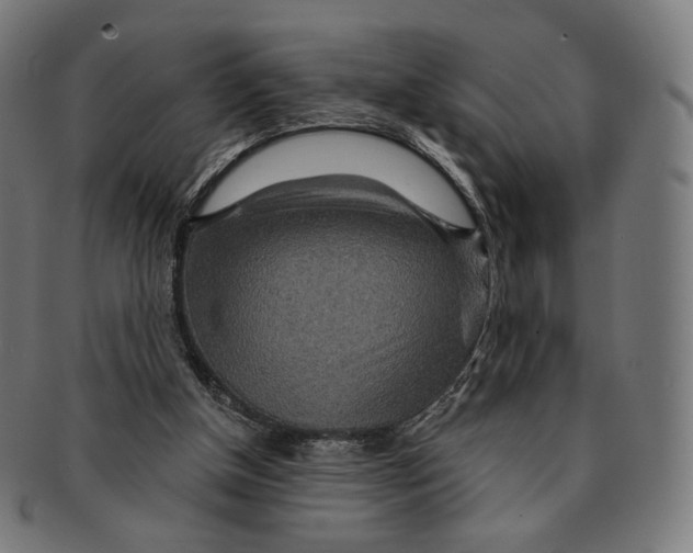 X0000091180154200709061001