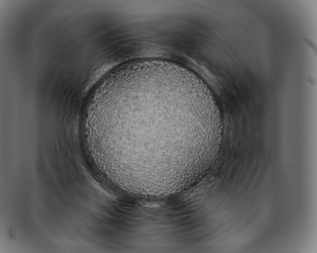 X0000091180155200709061001