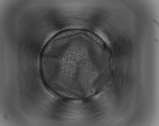 X0000091180156200709061001