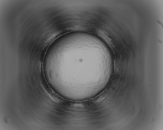 X0000091180157200709061001