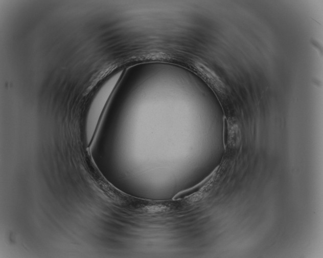 X0000091180158200709061001