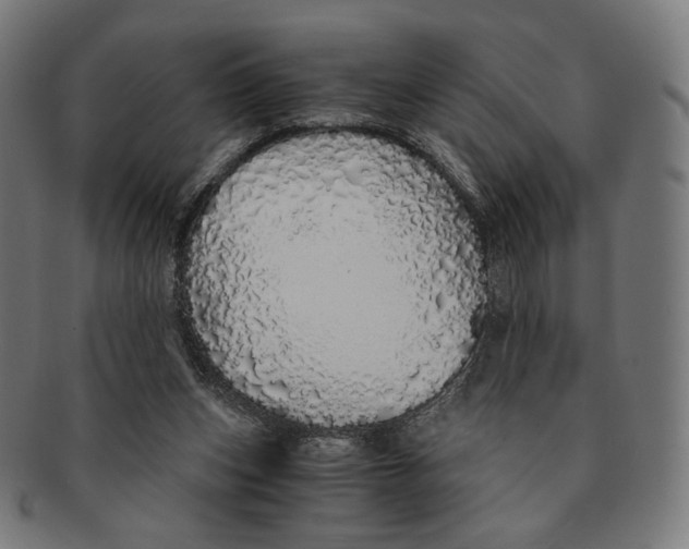 X0000091180159200709061001
