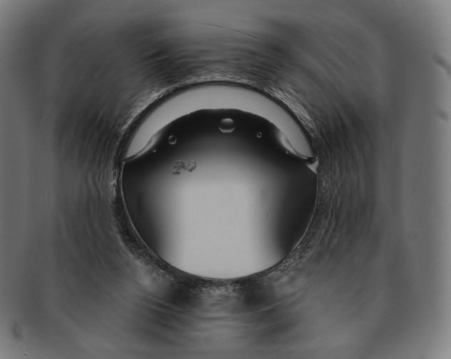 X0000091180160200709061001
