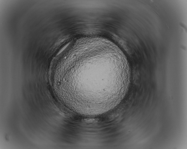 X0000091180161200709061001